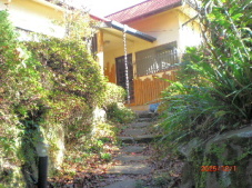 12���ɓ��肨�X�̎���̖؁X��������̗t�͂قƂ�ǎU�肳���񂩂̉Ԃ����J�ł�