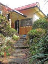 1���ɓ��肱�����͌��������؁X�̗t�}�����̗t�͂قƂ�Ǘ����Ĕ~�̉Ԃ̉肪�����Âc���ł��Ă��܂�